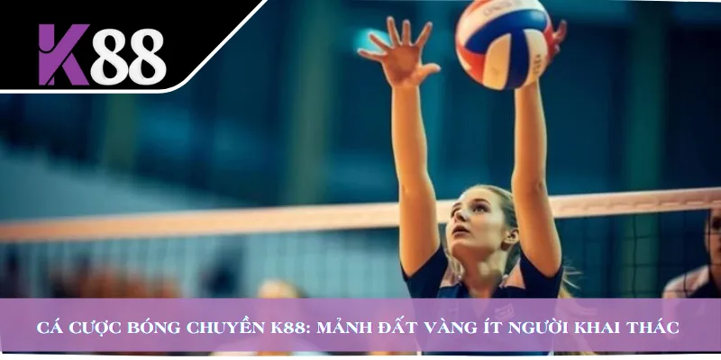 Cá Cược Bóng Chuyền K88: Mảnh Đất Vàng Ít Người Khai Thác